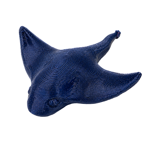 Stingray Brooch