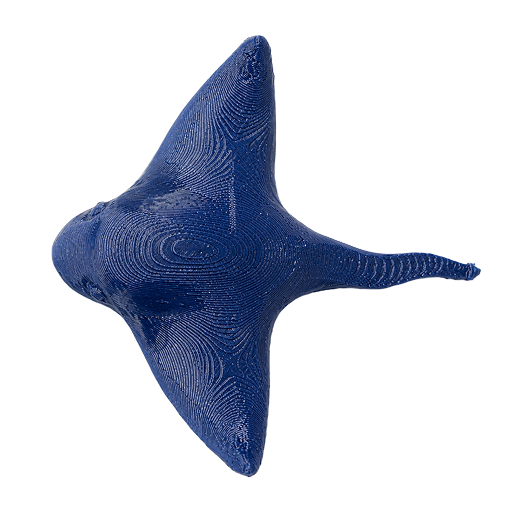 Stingray Brooch