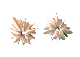 Spikes Studs