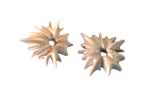 Spikes Studs