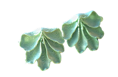 Fossil Wave Studs