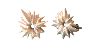 Spikes Studs