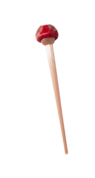 Mush Hair Pin