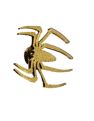 Spider Jibbitz