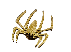 Spider Jibbitz