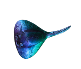 Stingray Jibbitz